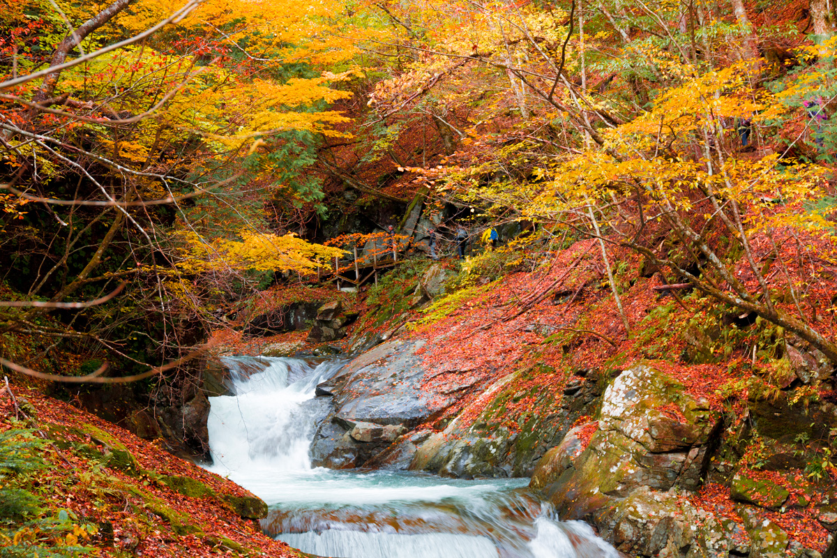 Nishizawa Valley